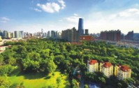 上海市居住区绿化调整实施办法（试行）